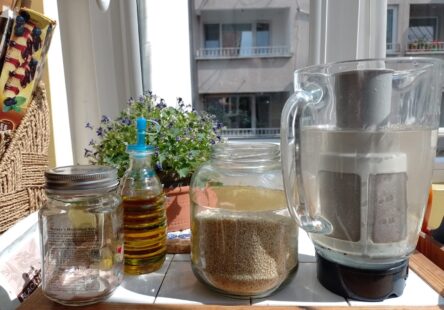 ingredients for sesame milk and the special blender with filter   